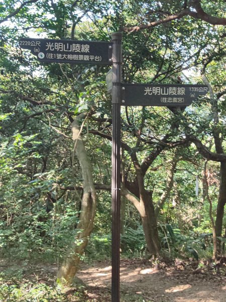 微笑山線：【大棟山系】百年大榕樹段2868481