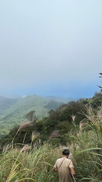 宜蘭鶯子嶺2305206