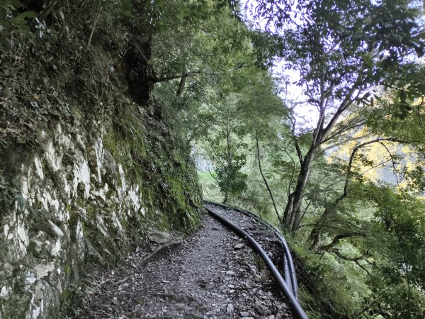 [玉山尋寶任務-07/12] 2025_0824 八通關雲龍瀑布步道2870535