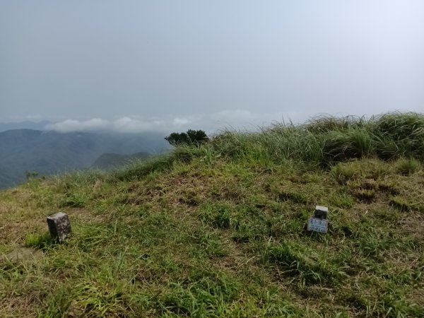 雙溪區鶯子頂山-950峰-鶯子嶺去回3033902