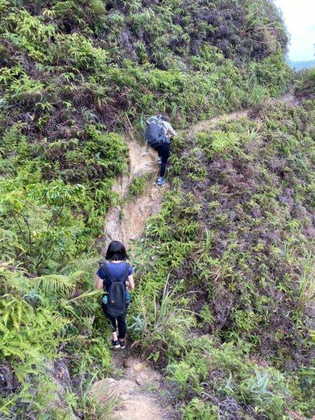 小小冒險王(小錐麓古道-小鬼瀑布)1842708