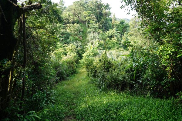 新北 瑞芳 粗坑口尖、碇內尖山、粗坑頭山、龍門山、滴水山2838275