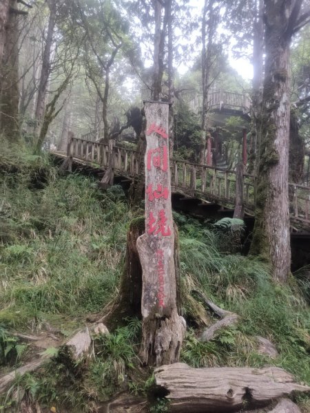 1150728太平山鐵杉林步道3096850
