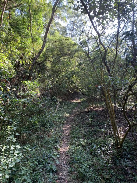 20250301屏東戶亞宇山主峰-基點峰2732973