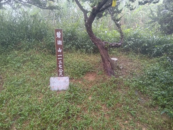 雲嘉十八連峰2589561