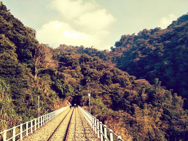 2019 01 09 獨立山國家步道501561