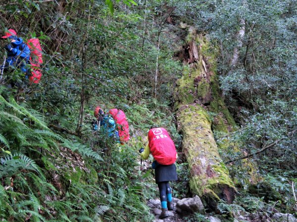 大霸尖山 伊澤山 加利山1514903