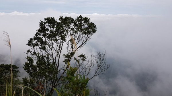 苗栗獅潭仙山509379