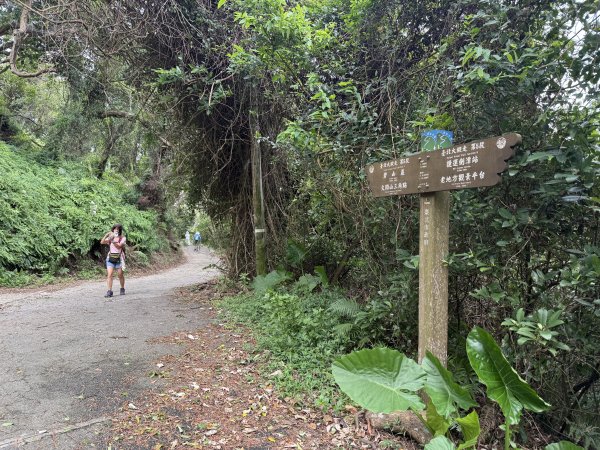 劍潭山+老地方202507192863873