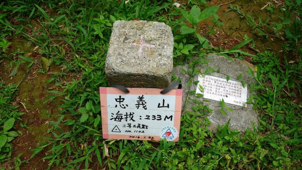 經典郊山步道縱走，關渡縱走新北投131840