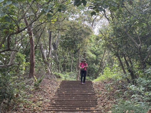 挑水古道附近古道串聯+藤山步道202505032784345
