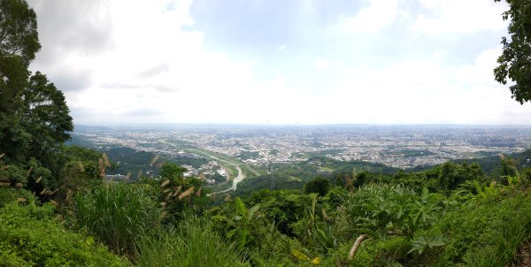 20250609 初探三汀山2806310