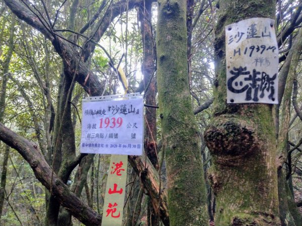 橫嶺山/沙蓮山/鎮山海獅1221396