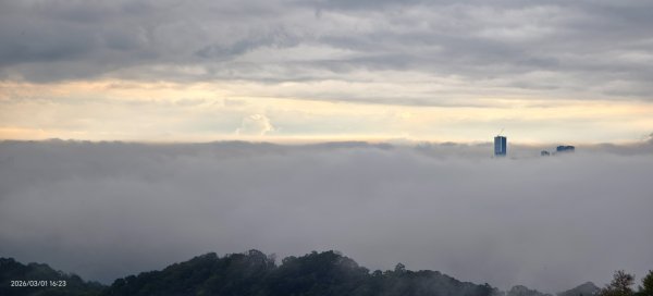 #雲瀑 #雲海 #琉璃光 #天空之城（林口）#觀音山 #林梢步道 3/13008587