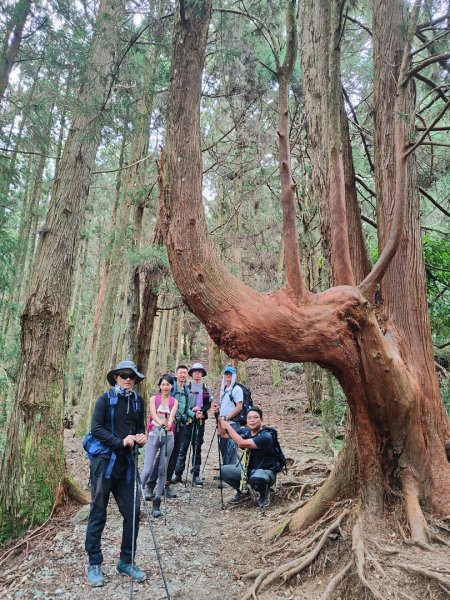 馬崙山(蜜蜂入侵三角點)拍照快閃2550660