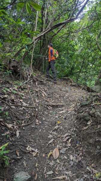 113.06.16白沙丘山-舊草嶺隧道-隆嶺古道之旅2530542