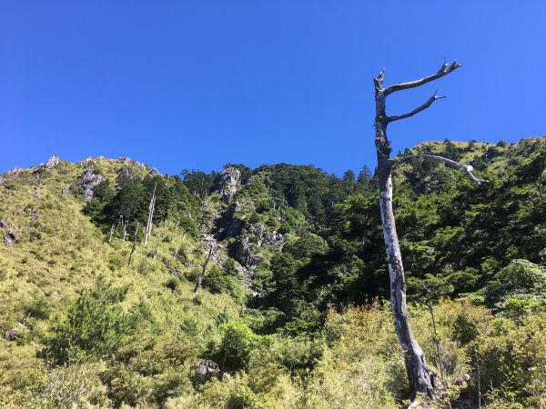 石瀑滿溢-玉山前峰203232