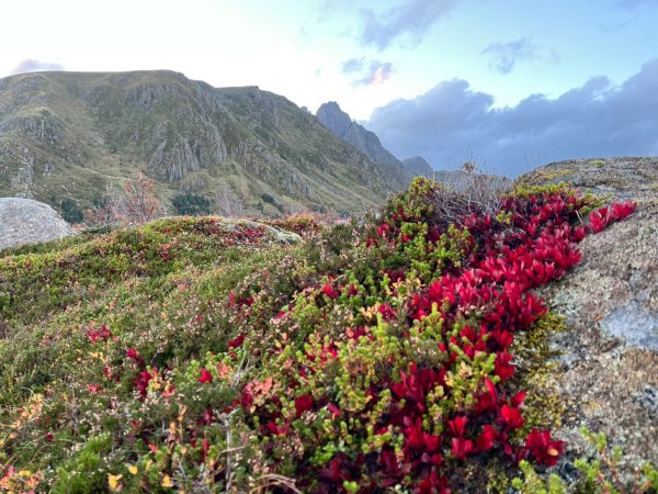 Norway-Lofoten Islands-Ballstad-北極圈慢跑2917741
