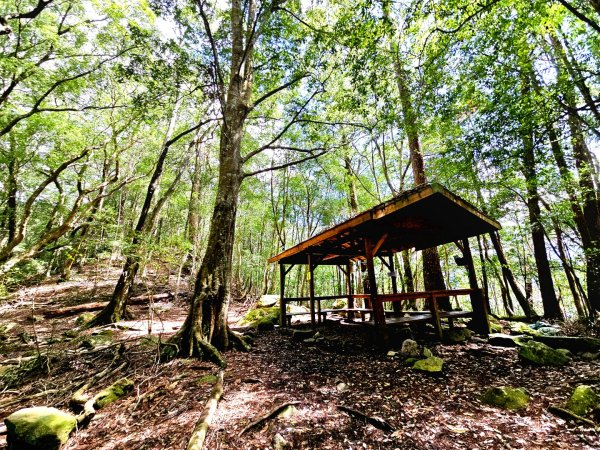 波津加山-谷關七雄(老四)3015172