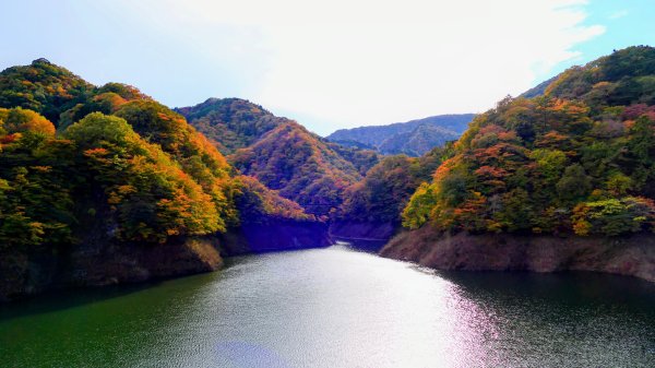 栃木縣紅葉谷大吊橋2930304