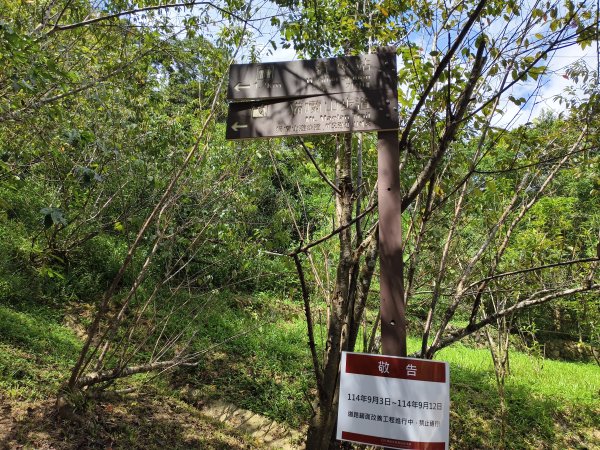 [百山百鳥尋旅-06/15] 2025_0830 貓囒山步道2875708