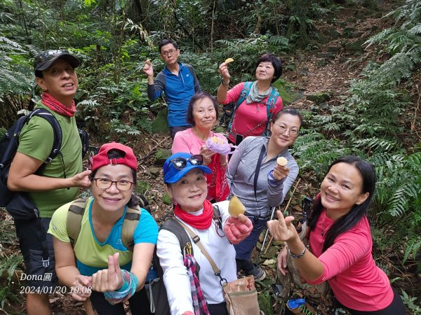 東勢大崙、東勢坑山、觀音湖山O走2986212