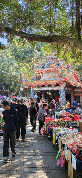 2026-0315 桃園虎頭山3015930