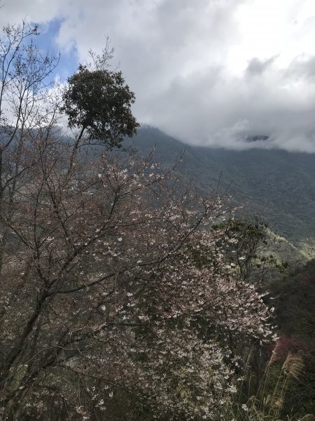 廬山六寶之三寶1300487