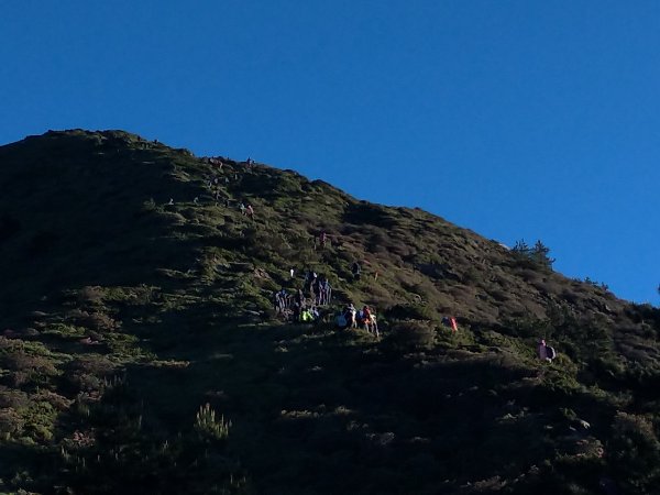 【南投縣仁愛鄉】合歡群峰2天1夜(下)1028144