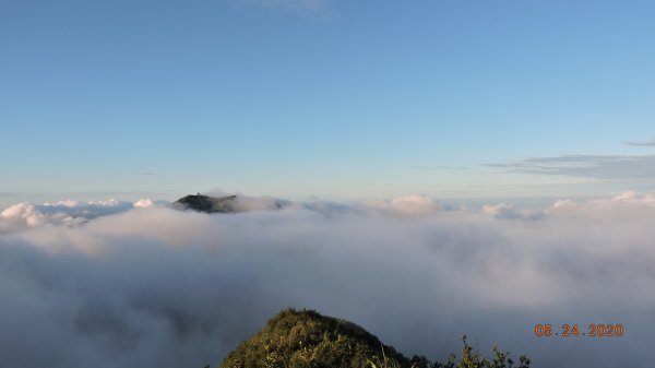 這不是陽明山?! 這不是陽明山?!976034