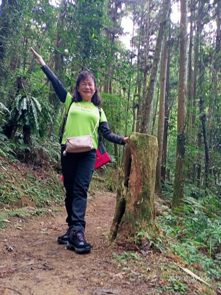 四訪苗栗的花果山-小百岳#037馬那邦山、雪霸國家公園管理處【小百岳集起來、苗栗-臺灣百大必訪步道】2394323