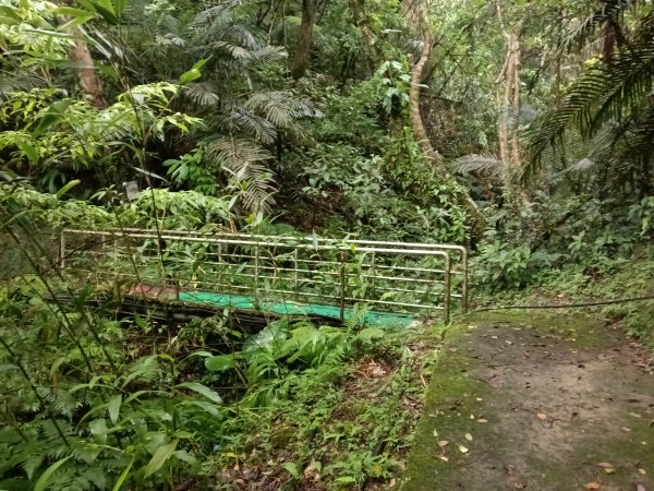 平溪區善覺寺古道(步道)去回2855361