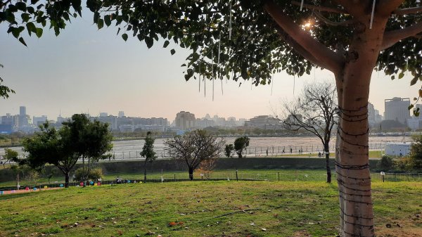 《台中》城市漫遊｜中央公園202203051631065