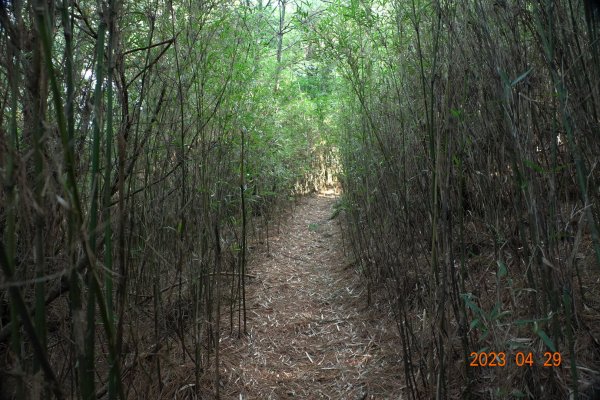 南投 仁愛 武法奈尾山2133790