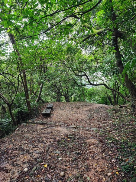 金包里大路(擎天崗至上磺溪停車場段  - 走遍陽明山尋寶任務2268831