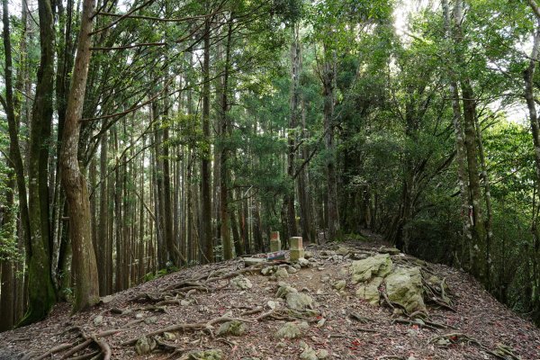新竹 五峰 油羅山、霞山2798244