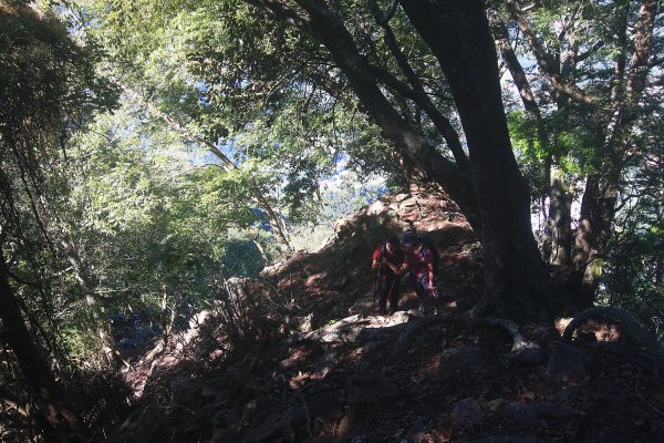 非正規路線上郡大山1504258