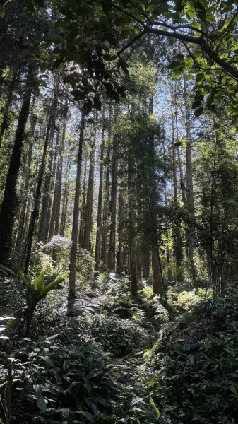 20250927小百岳鳳凰山2896386