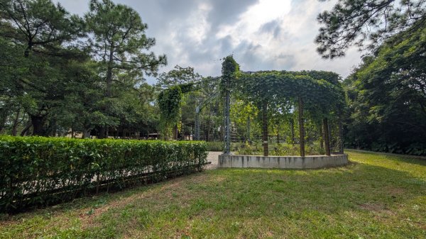 大湳森林公園2879733