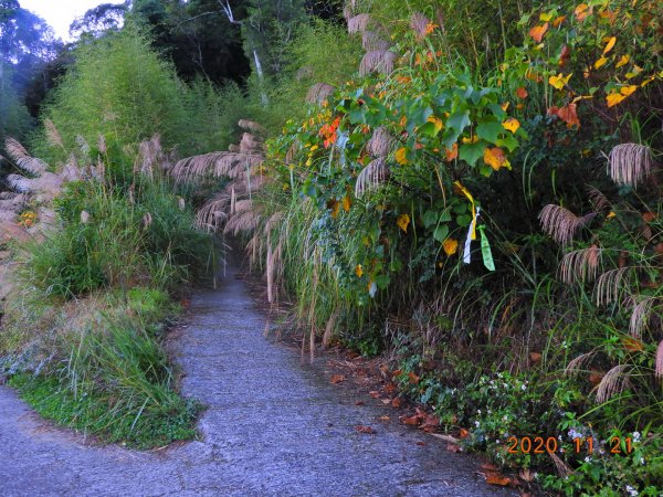 新竹 尖石 屯野生台山、石麻達山1178000