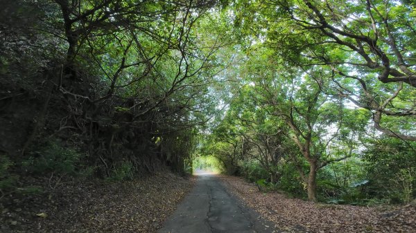 高雄 小崗山2927241