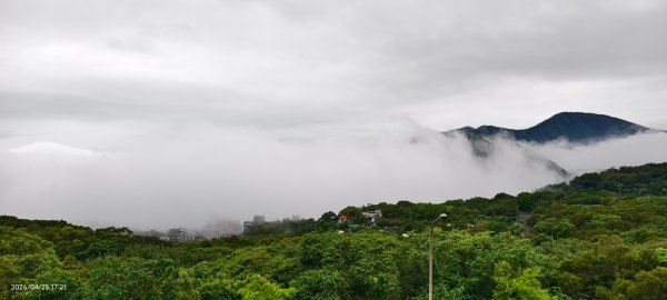 #文化大學 #雲海 #琉璃光 #陽明山秘境 4/253042459