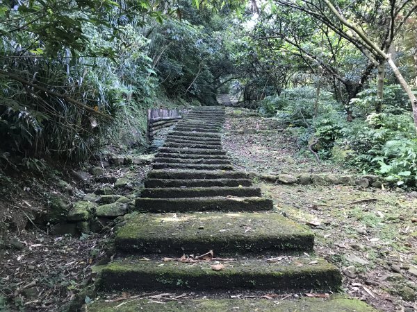 ~ 淡蘭古道系列 -- 金字碑古道 ~1011942