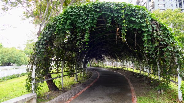 葫蘆墩公園,南觀音山,聚興山2676889