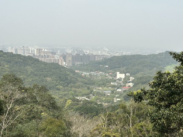 羊稠森林步道3020906