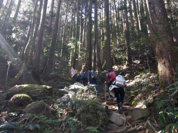 台版富士山「加里山」(小百岳#34) 2020/12/191424804