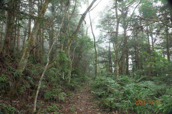 南投 烏來山、南阿冷山、中阿冷山、阿冷山東南峰2325532