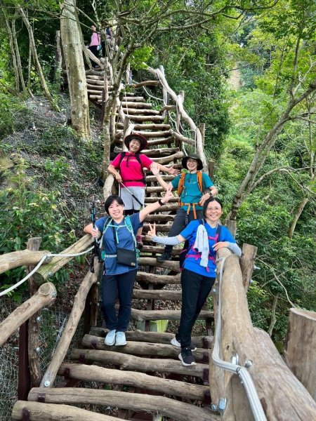 大坑1號和2號步道2826384