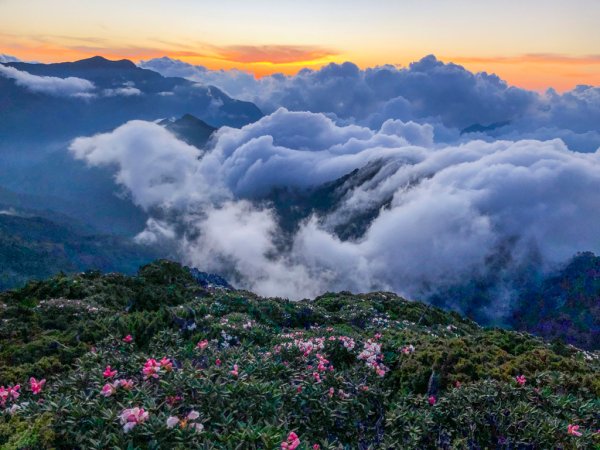 202505八大秀2874055