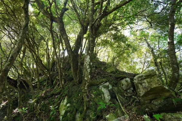 新竹 五峰 油羅山、霞山2798260